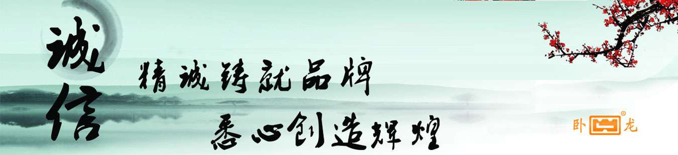 安徽臥龍泵閥股份有限公司