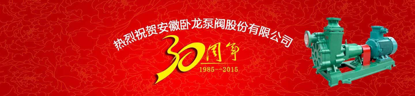 安徽臥龍泵閥股份有限公司