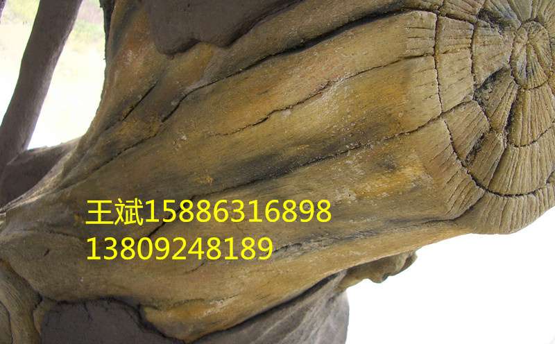 長沙市雨花區旺斌園林景觀施工經營部