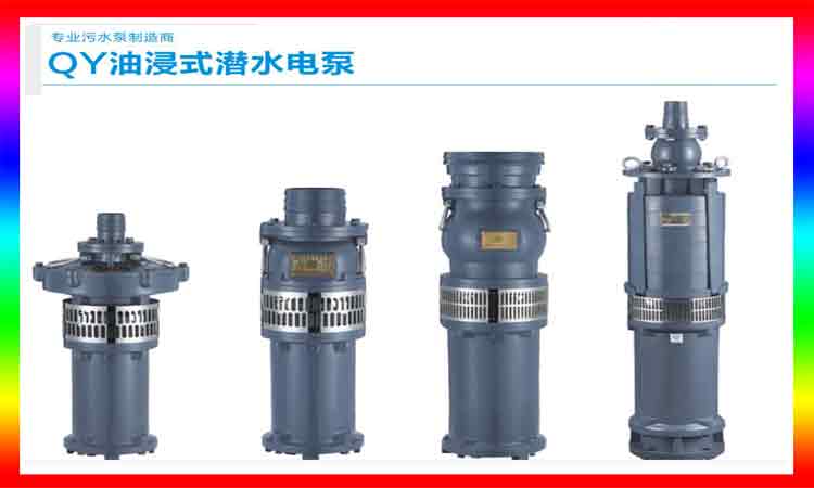 QY2.2S（KW）全不銹鋼潛水電泵